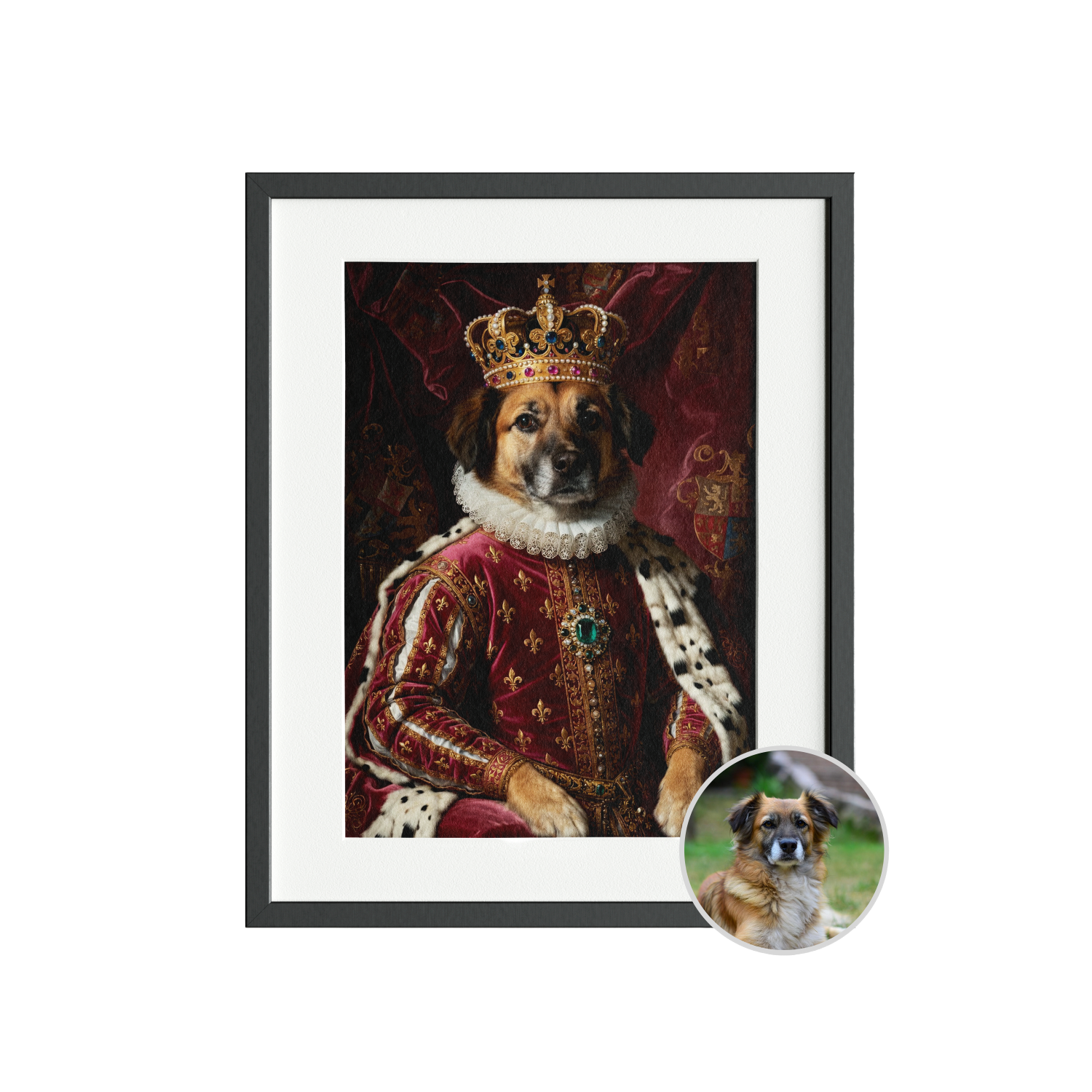 Pet portrait example 5